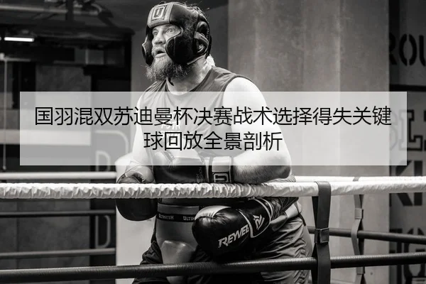国羽混双苏迪曼杯决赛战术选择得失关键球回放全景剖析